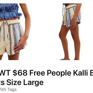 Free People Multicolor Striped Shorts